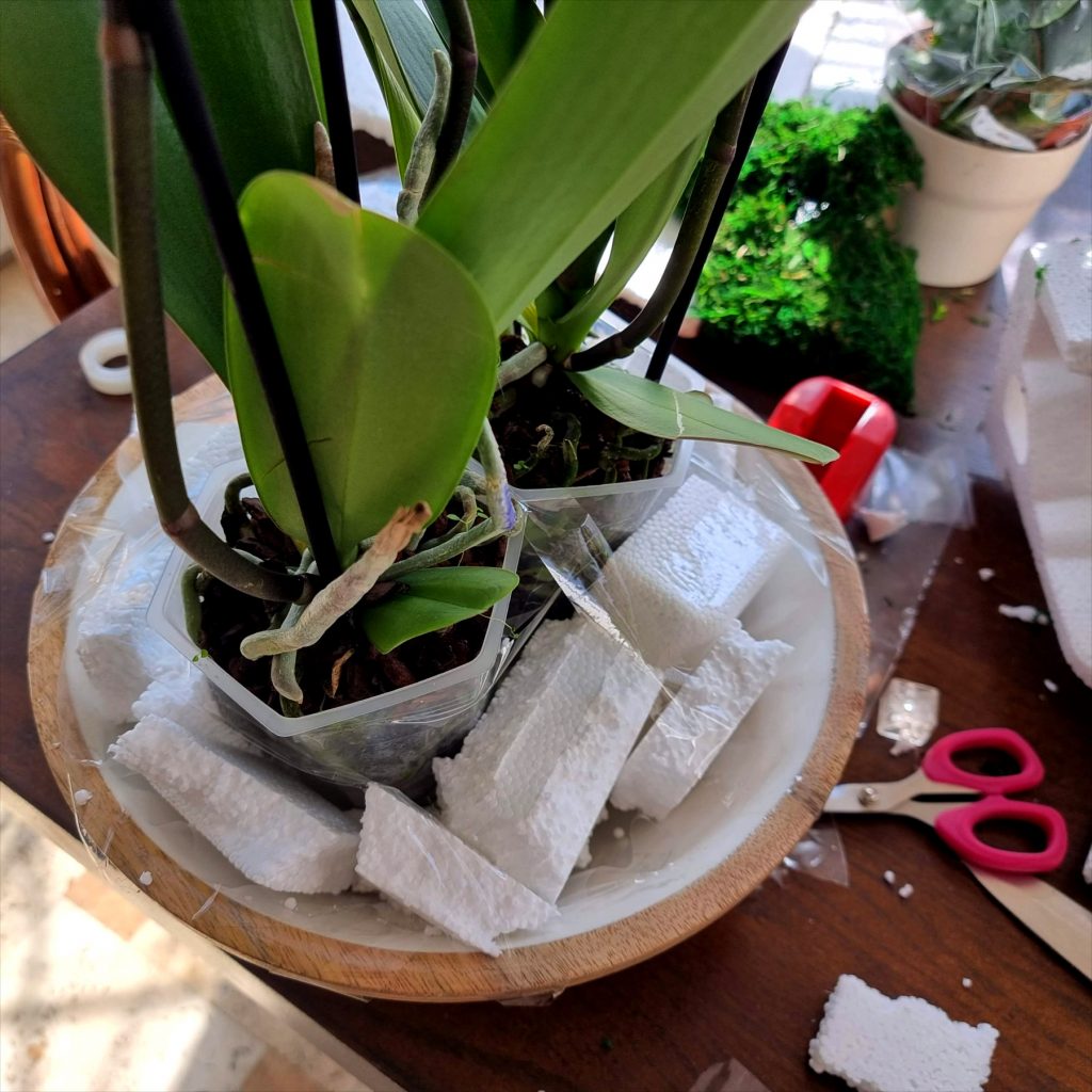 Fixarea ghivecelor de orhidee in vas rotund