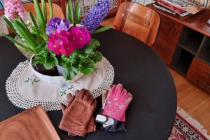 7 lucruri vechi pentru grădinărit cu stil