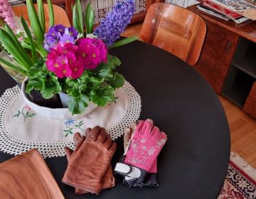 manusi pentru trandafiri